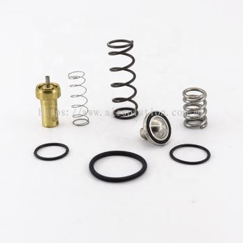 KWERL (OEM) Thermostatic Valve Kit 