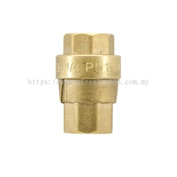 Check Valve E20025