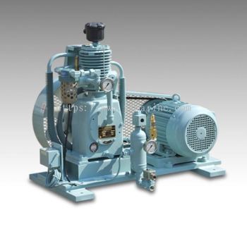 TANABE AIR COMPRESSOR PARTS