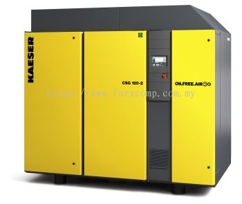 Oil Free Screw Compressor 02