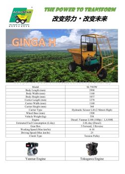 GINGA SL7503W