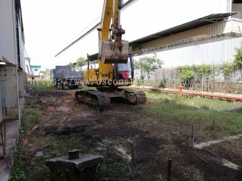 Cuipo Stone Tanjung Langsat