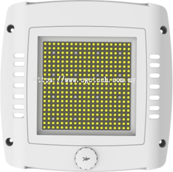 LED Canopy Light CP-02