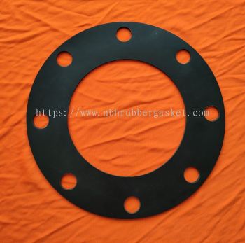 FKM Viton Gasket