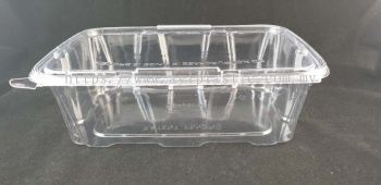 BENXON FRESH (FP-C) (CLEAR CONTAINER)(255X170X78(150PCS)