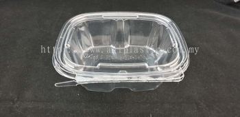 BENXON REC (12TE-FL) (CLEAR CONTAINER)(145X125X47)(300 PCS)(6X50 PCS)