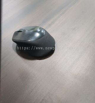 mouse