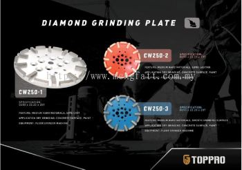 TOPPRO DIAMOND GRINDING PLATE
