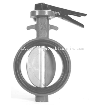 Interflow Butterfly Valve