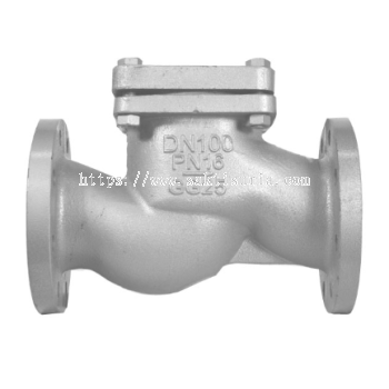 Check Valve