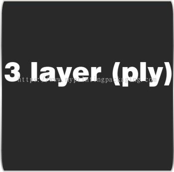 3 Layer (ply)