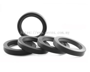 Oil Seal