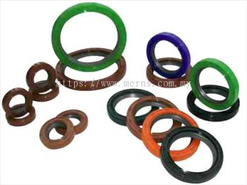 Oil Seal