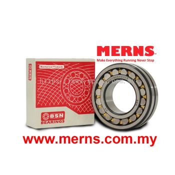 BSN 22208MBW33 C3 Bearing (16)