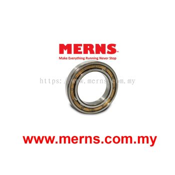 DKF 6012M Bearing (182)