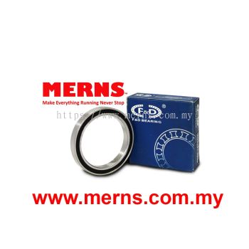 F&D 6808-2RS Bearing (59)