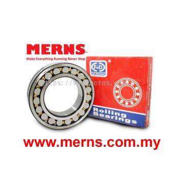 F&D 22215CA W33 Bearing (19)