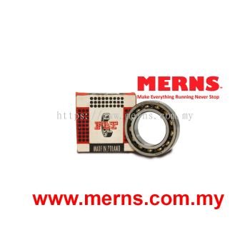 FLT 6009 Bearing (176)