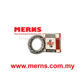 FLT 6010 Bearing (179)