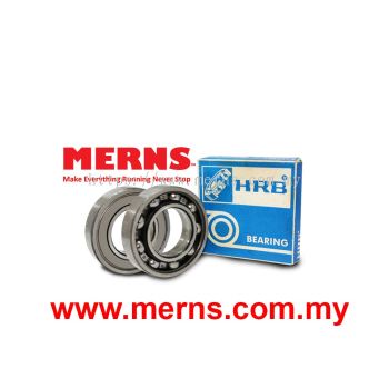 HRB 6209 Z Bearing (231)