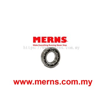 IB 6006 Bearing (170) (China)