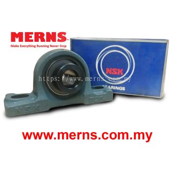 NSK EWP204D1 Bearing (283)