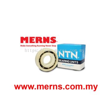 NTN 6305 SS Ball Plastic Bearing (255)