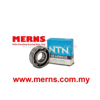 NTN N204 Bearing (145)