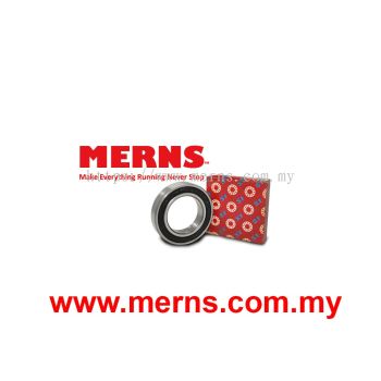 SF 6009-2RS Bearing (173)