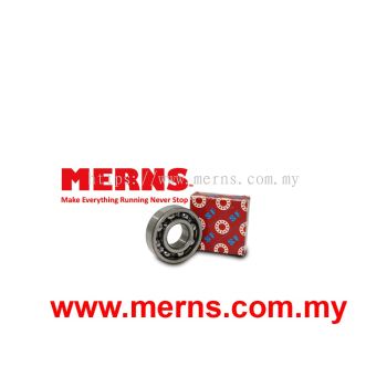 SF 6204 Bearing (208)