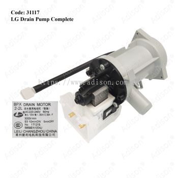Code: 31117 LG Drain Pump Complete