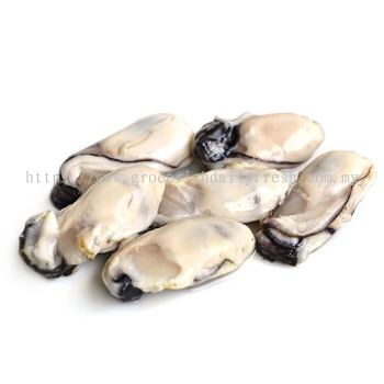 Oyster Meat