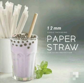 Paper Straw 