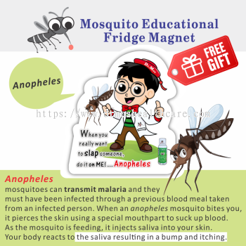 FREE GIFT_Anopheles_Mosquito Educational Fridge Magnet