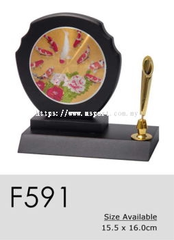 F591