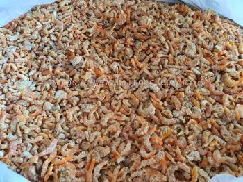 Dried Shrimp