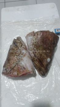 Grouper Fish Head 1.5kg up