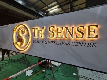 Te  Sense PJ - Stainless Steel 3d Led Box Up Gold Mirror