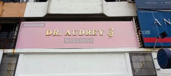 Dr Audrey Wellness - 3D Box Up Stainless Steel Signage