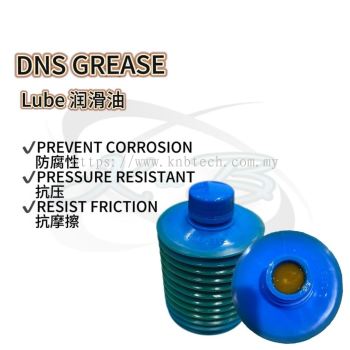 DNS GREASE