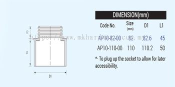 UPVC FITTING - ACCESS PLUG