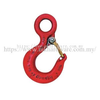 CARBON EYE HOIST HOOK