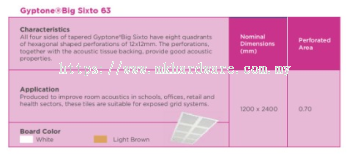 Gyproc® Big Sixto 63