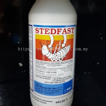 STEDFAST 