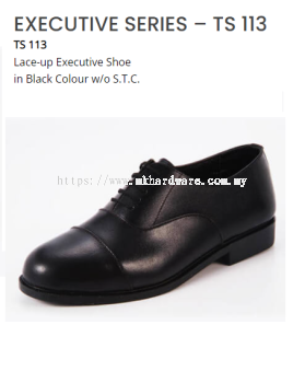 EXECUTIVE SERIES - TS 113 