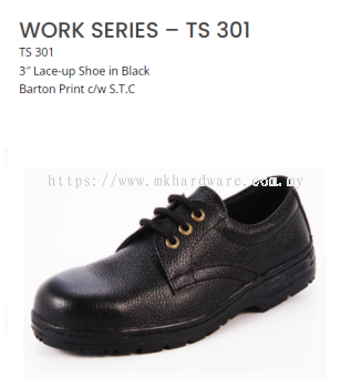 WORK SERIES - TS 301