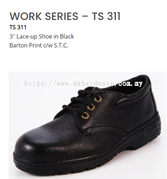 WORK SERIES - TS 311