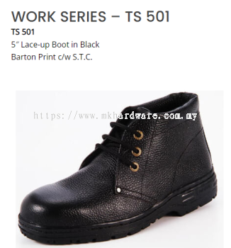 WORKS SERIES - TS 501