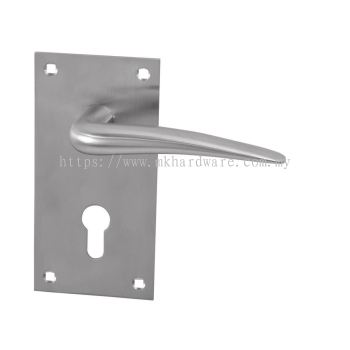 SOLID SS LEVER HANDLES