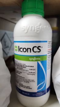 ICON CS